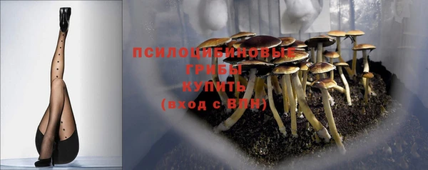 соль курить ск Горняк