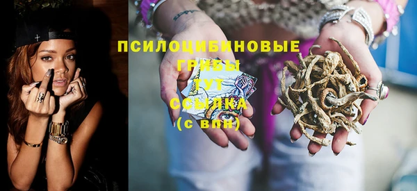 ECSTASY Ивантеевка