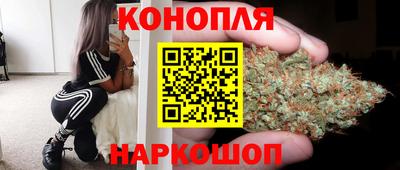 гидропоника Апшеронск