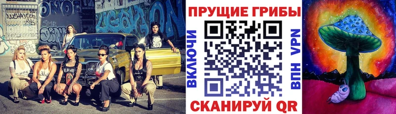 Псилоцибиновые грибы Cubensis  blacksprut ССЫЛКА  Наро-Фоминск 