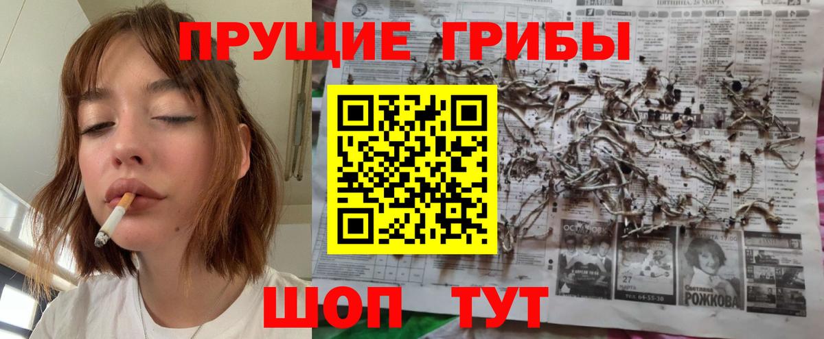 Псилоцибиновые грибы Cubensis  Псилоцибиновые грибы мицелий  где купить наркоту  Наро-Фоминск 