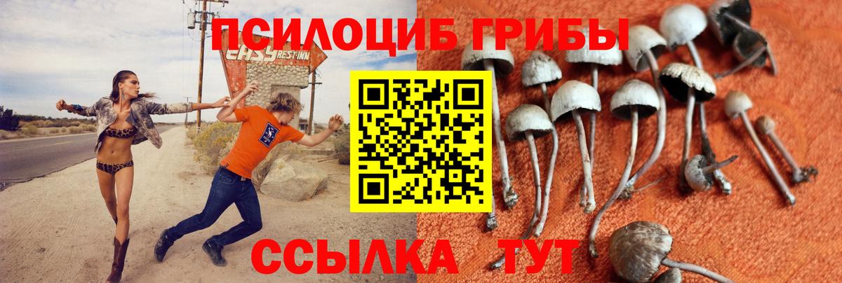 Наро-Фоминск  Галлюциногенные грибы Cubensis  Вход с VPN 